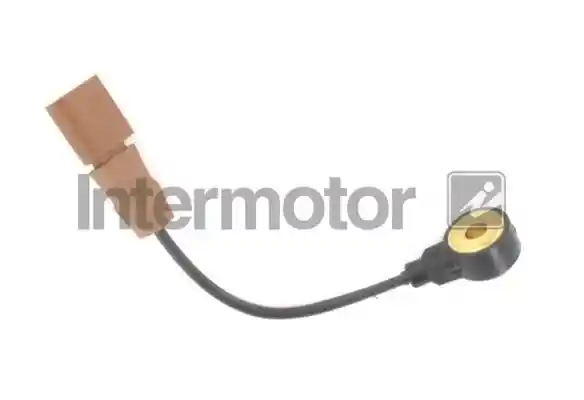 INTERMOTOR 70016