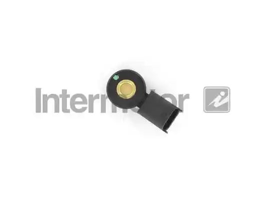 INTERMOTOR 70039