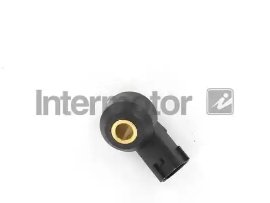INTERMOTOR 70051