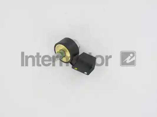 INTERMOTOR 70053