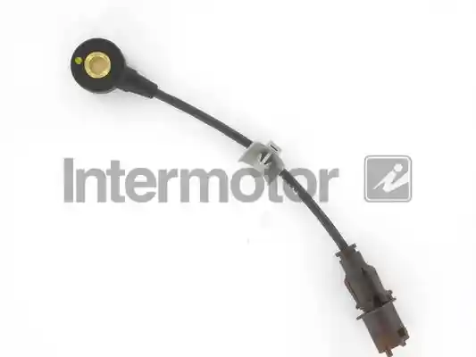 INTERMOTOR 70055
