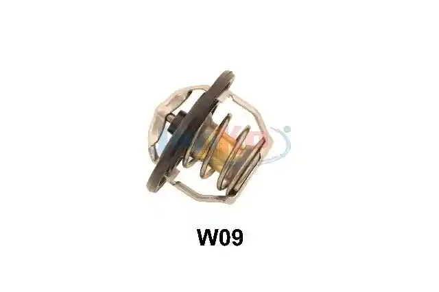 JAPKO 38W09 JAPKO 38W09
