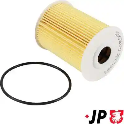 JP GROUP 1218506100