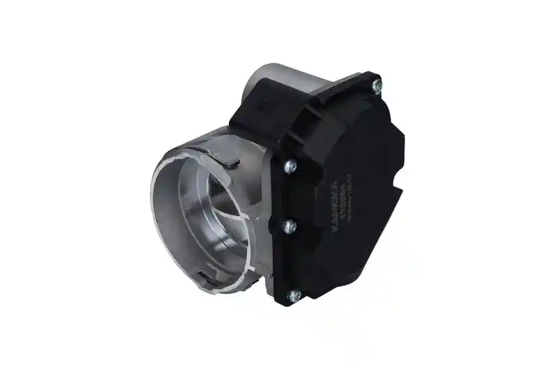 KAMOKA 112004