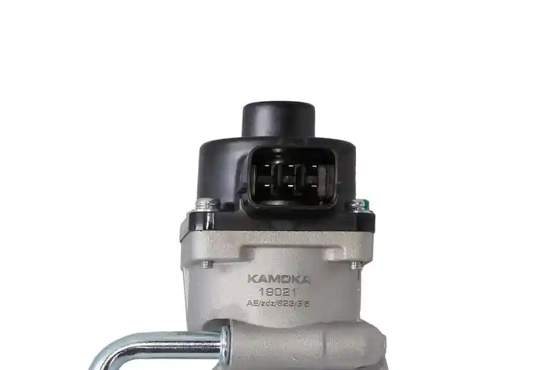 KAMOKA 19021