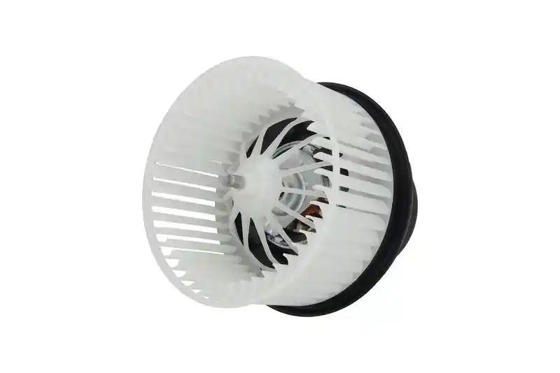 KAMOKA 7790001