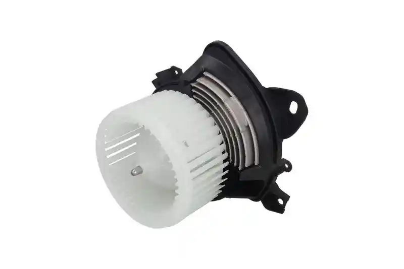 KAMOKA 7790010