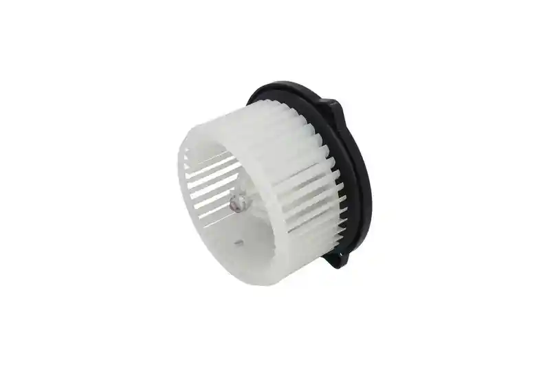 KAMOKA 7790091