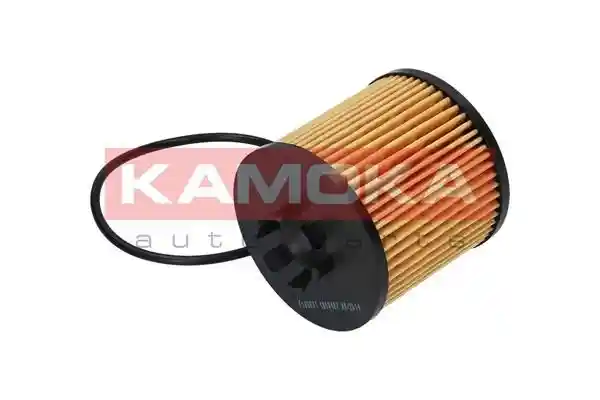 KAMOKA F109801