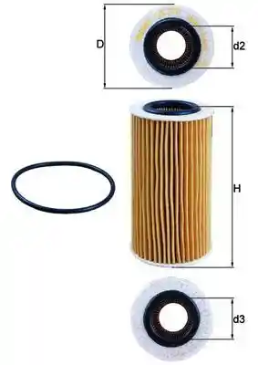 KAMOKA F110501