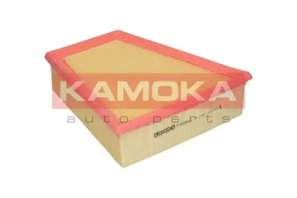 KAMOKA F202001