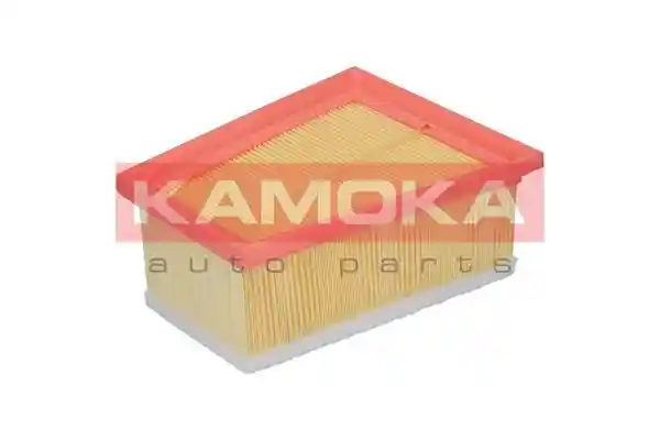 KAMOKA F202101