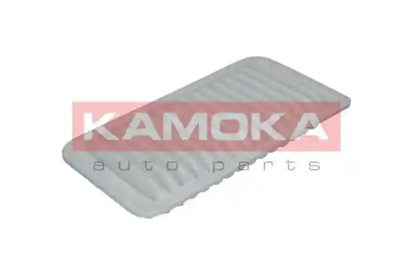 KAMOKA F203801