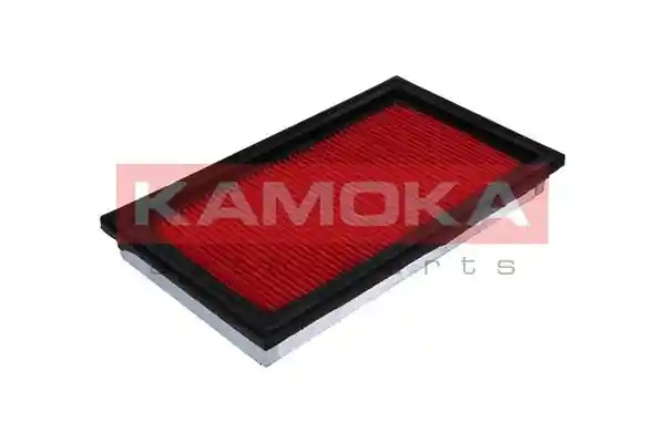 KAMOKA F205301