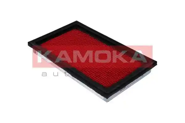 KAMOKA F205301