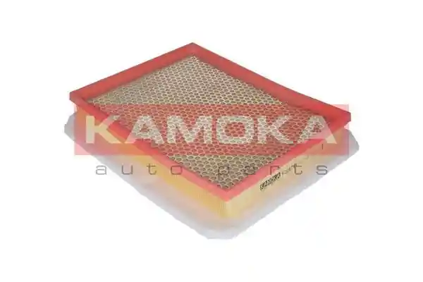 KAMOKA F206701