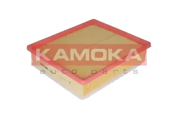 KAMOKA F209701