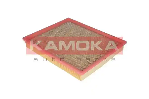 KAMOKA F212001
