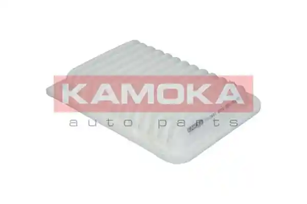 KAMOKA F212601