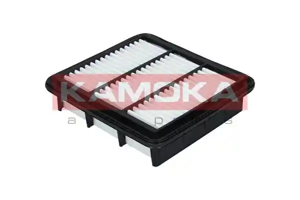 KAMOKA F213001