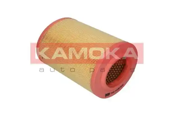 KAMOKA F213901
