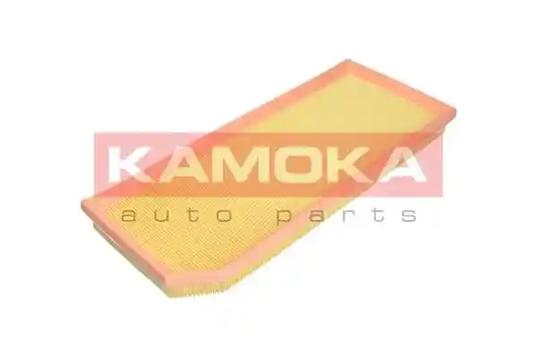 KAMOKA F249101