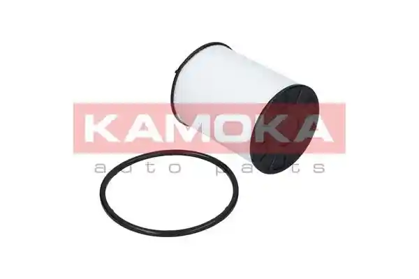 KAMOKA F301601