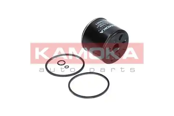 KAMOKA F302001