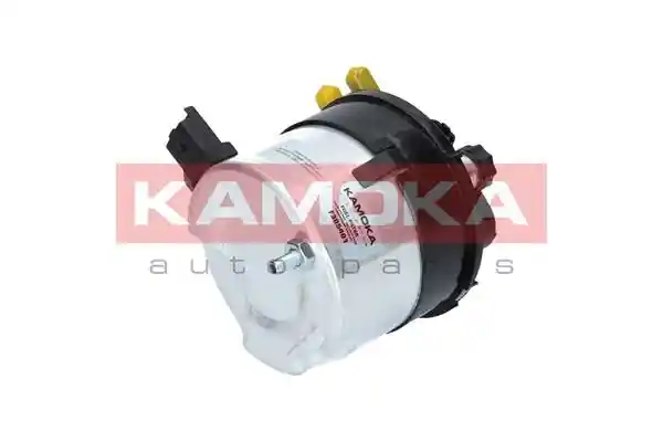 KAMOKA F305401