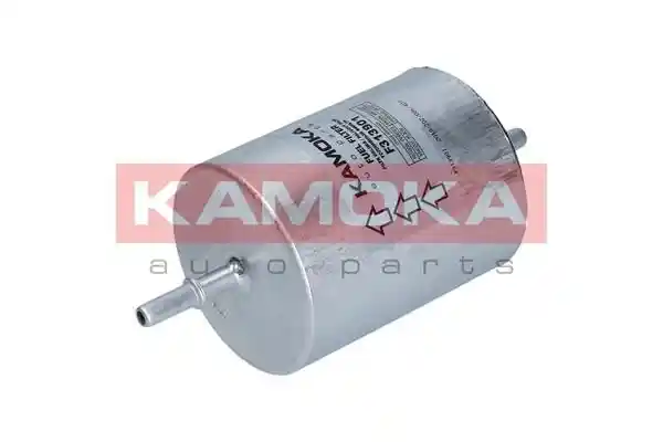 KAMOKA F313901
