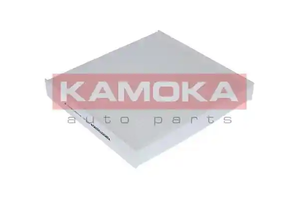 KAMOKA F401001