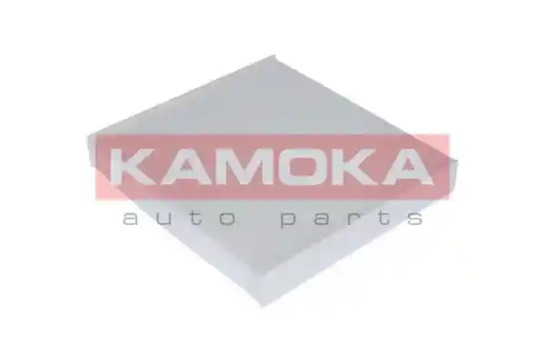 KAMOKA F401001
