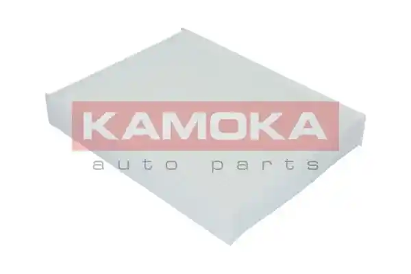 KAMOKA F405601