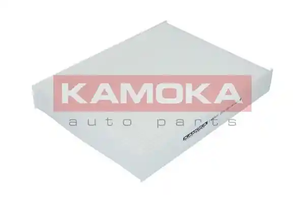KAMOKA F405601