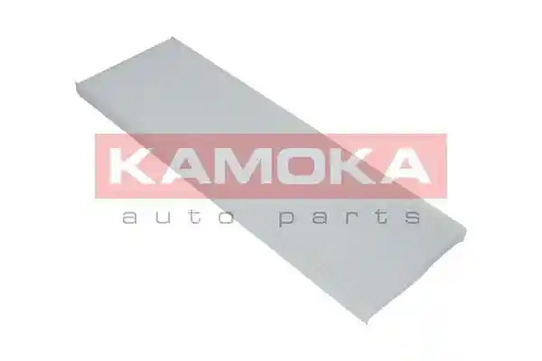 KAMOKA F407301