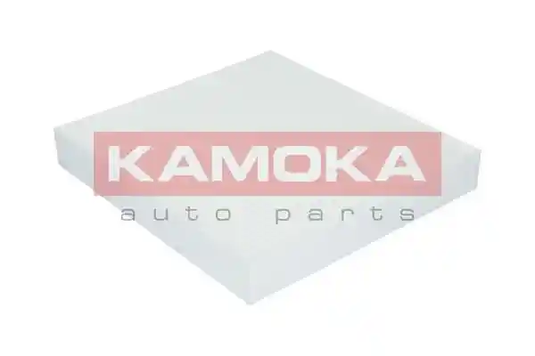 KAMOKA F412901