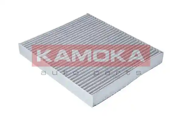 KAMOKA F503301