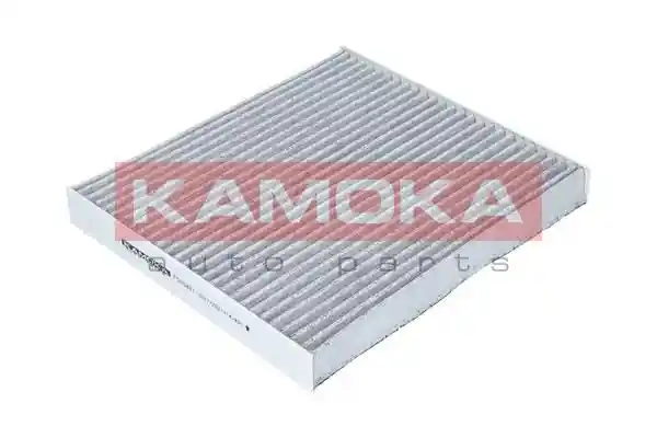 KAMOKA F505401