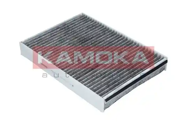 KAMOKA F507701
