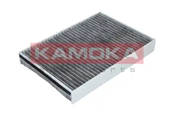 KAMOKA F507701