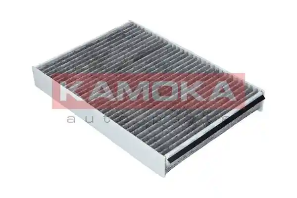 KAMOKA F507701