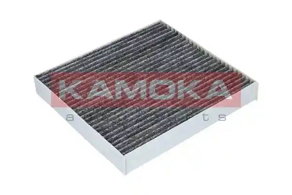 KAMOKA F509901