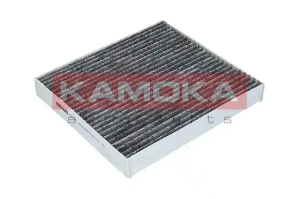 KAMOKA F509901