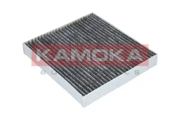 KAMOKA F509901