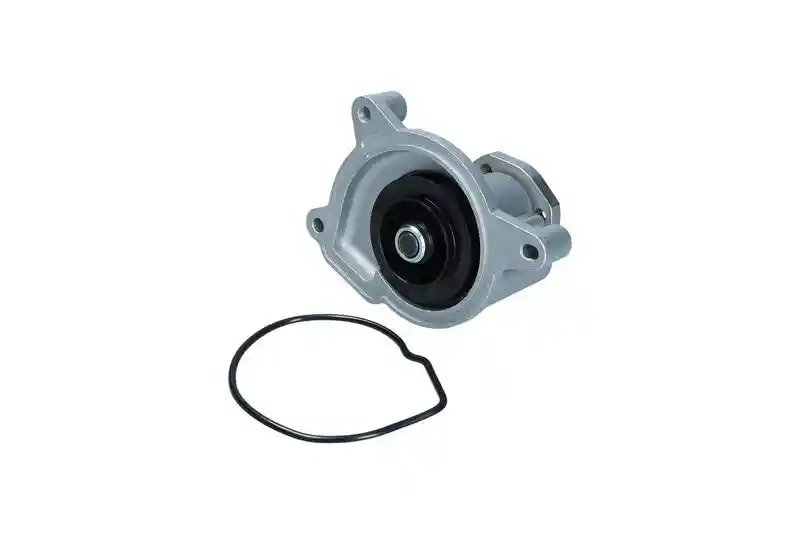 KAMOKA T0021