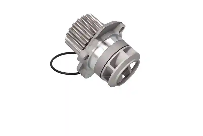 KAMOKA T0023