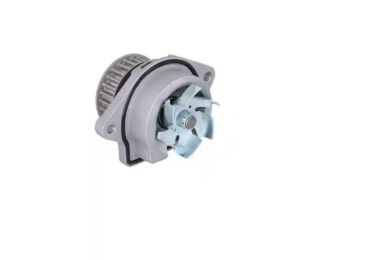 KAMOKA T0024