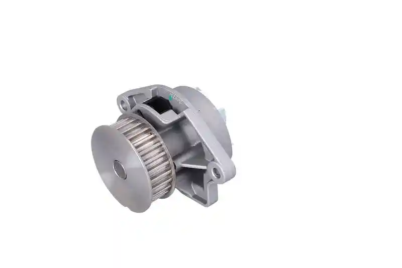 KAMOKA T0024