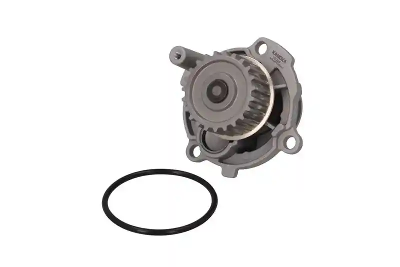 KAMOKA T0029