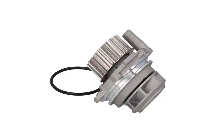 KAMOKA T0029